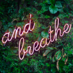 and breathe in neon lights against leafy wall