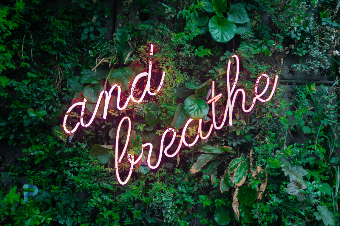 and breathe in neon lights against leafy wall